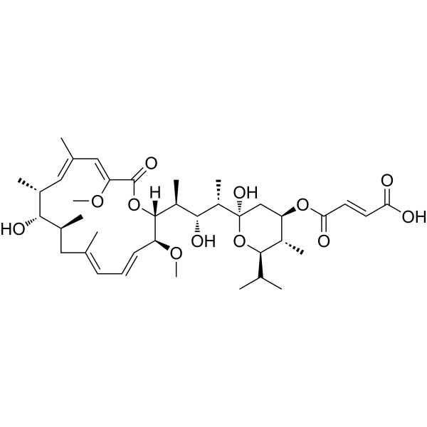 Bafilomycin C1 (Bafilomycin C1) 88979-61-7